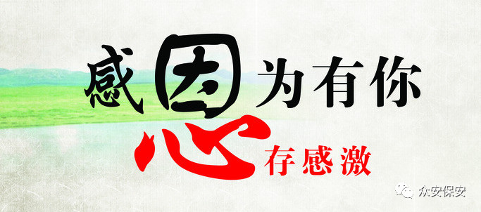 感恩同行 共赢未来——众安感恩教育系列报道之致敬一起奋斗的团队篇